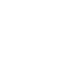 Latin Bowl Logo